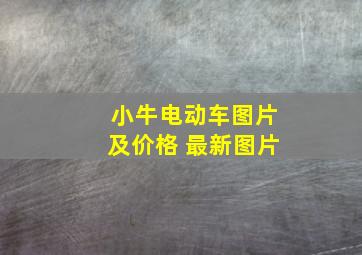 小牛电动车图片及价格 最新图片